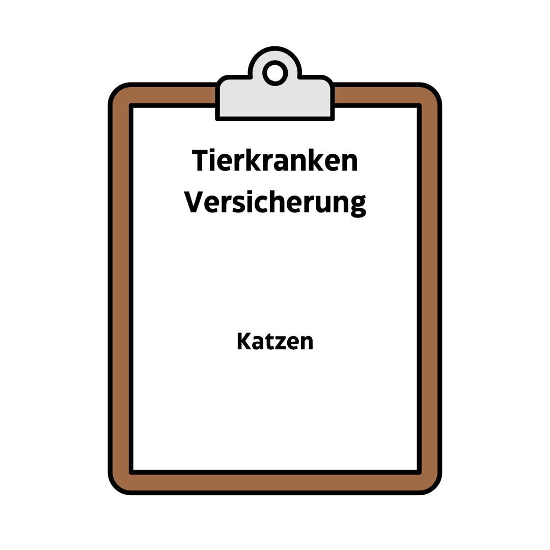 Tierkrankenversicherung (Katze)